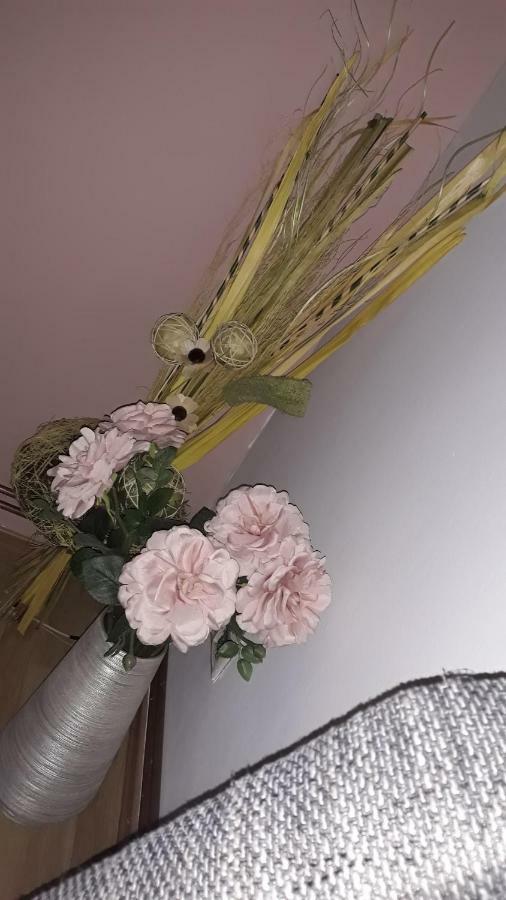 Apartman Patrik سلوني المظهر الخارجي الصورة